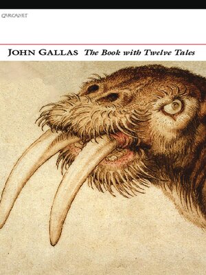 cover image of The Book with Twelve Tales